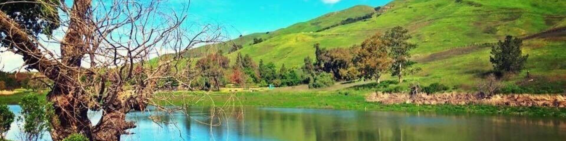Nice view of the lake and do some hiking.