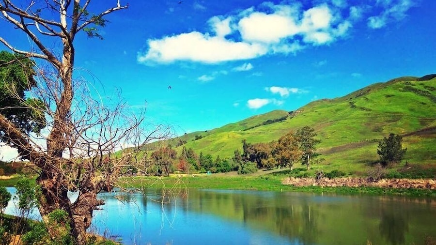 Nice view of the lake and do some hiking.