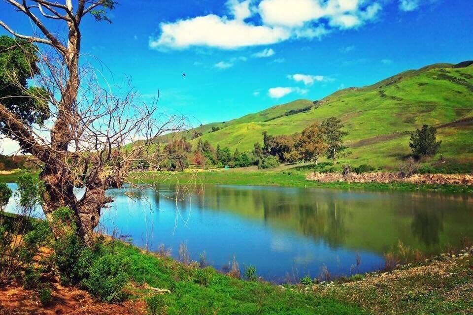 A serene lake surrounded by lush green hills and a clear blue sky.