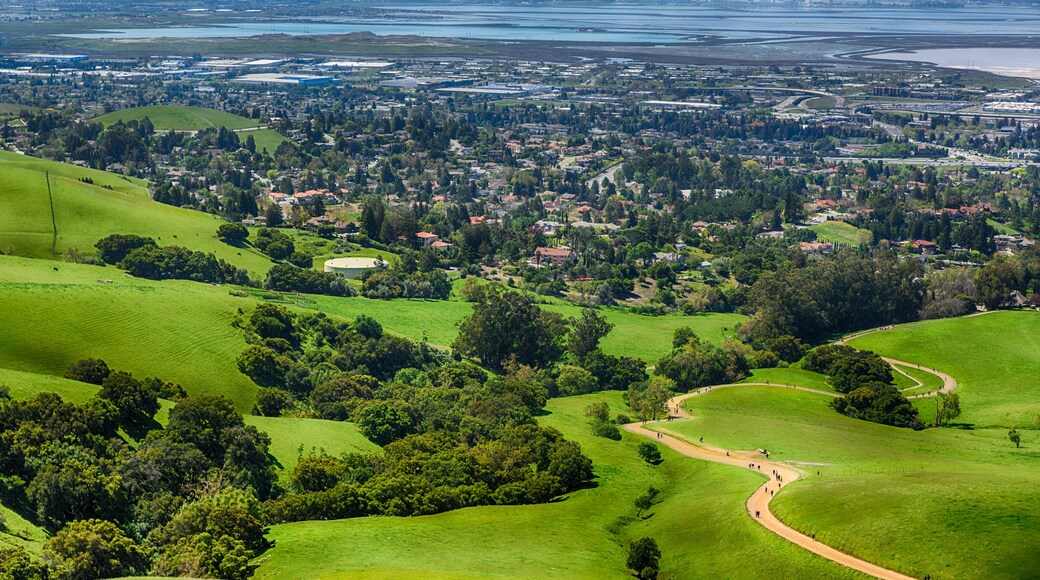Milpitas