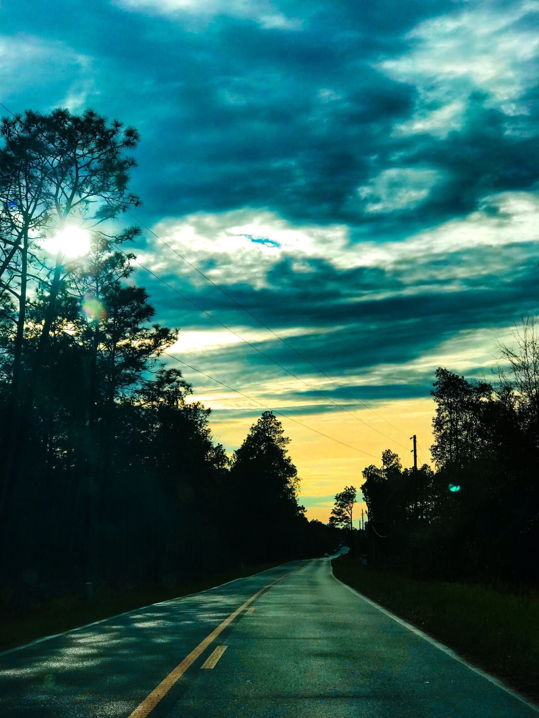 Adventures in Florida 