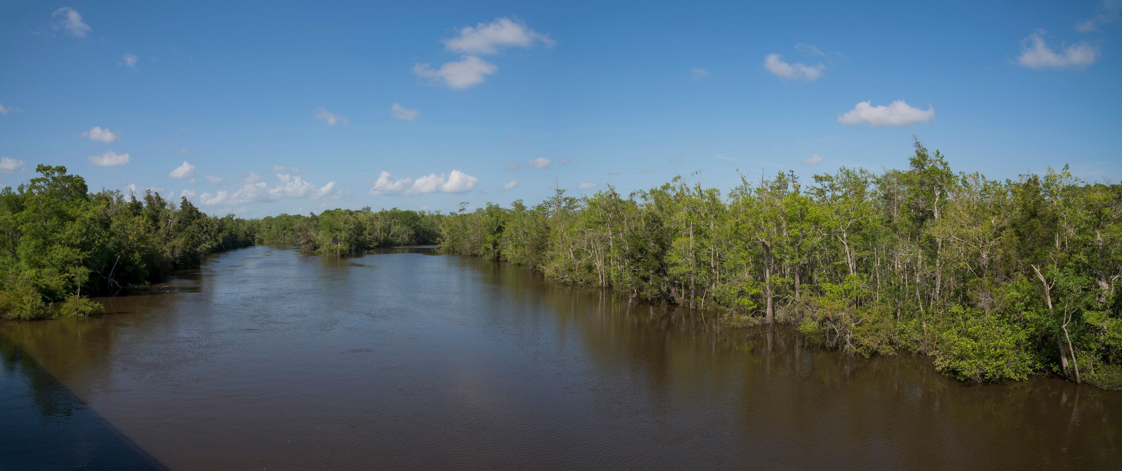 River at Milton, Florida with trees on the shore against the blue sky. Panorama of river waterways in the middle of green trees on the side.