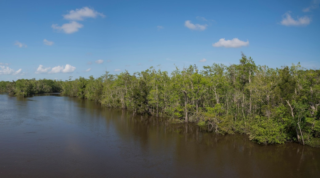 River at Milton, Florida with trees on the shore against the blue sky. Panorama of river waterways in the middle of green trees on the side.