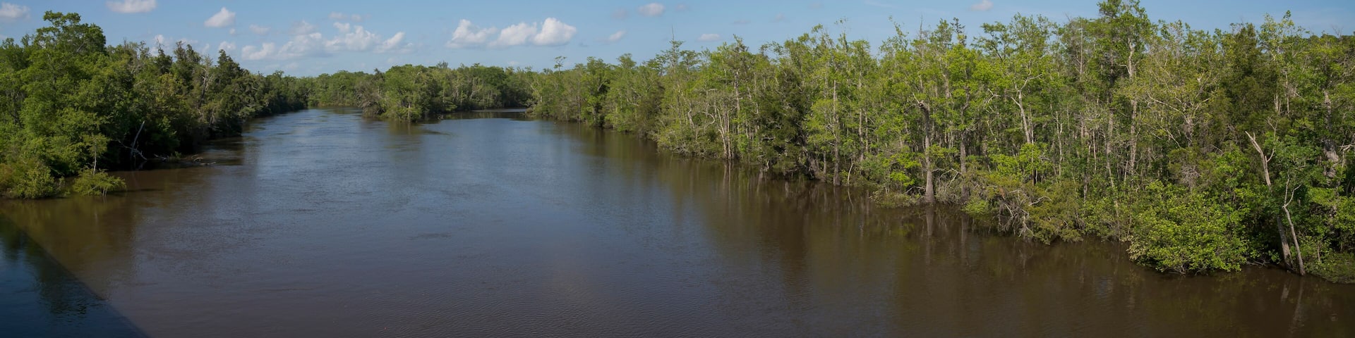 River at Milton, Florida with trees on the shore against the blue sky. Panorama of river waterways in the middle of green trees on the side.