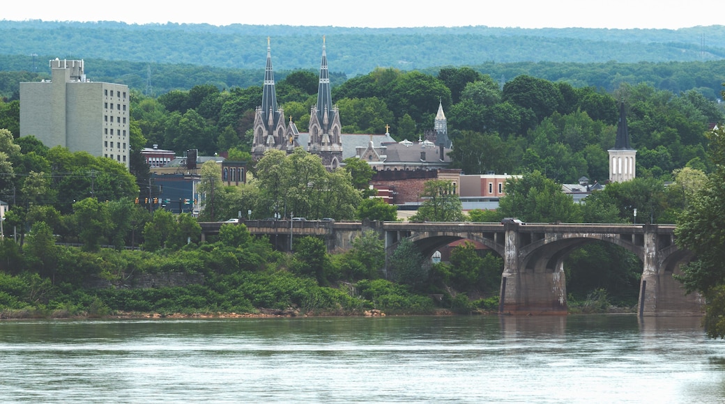 Average American Town