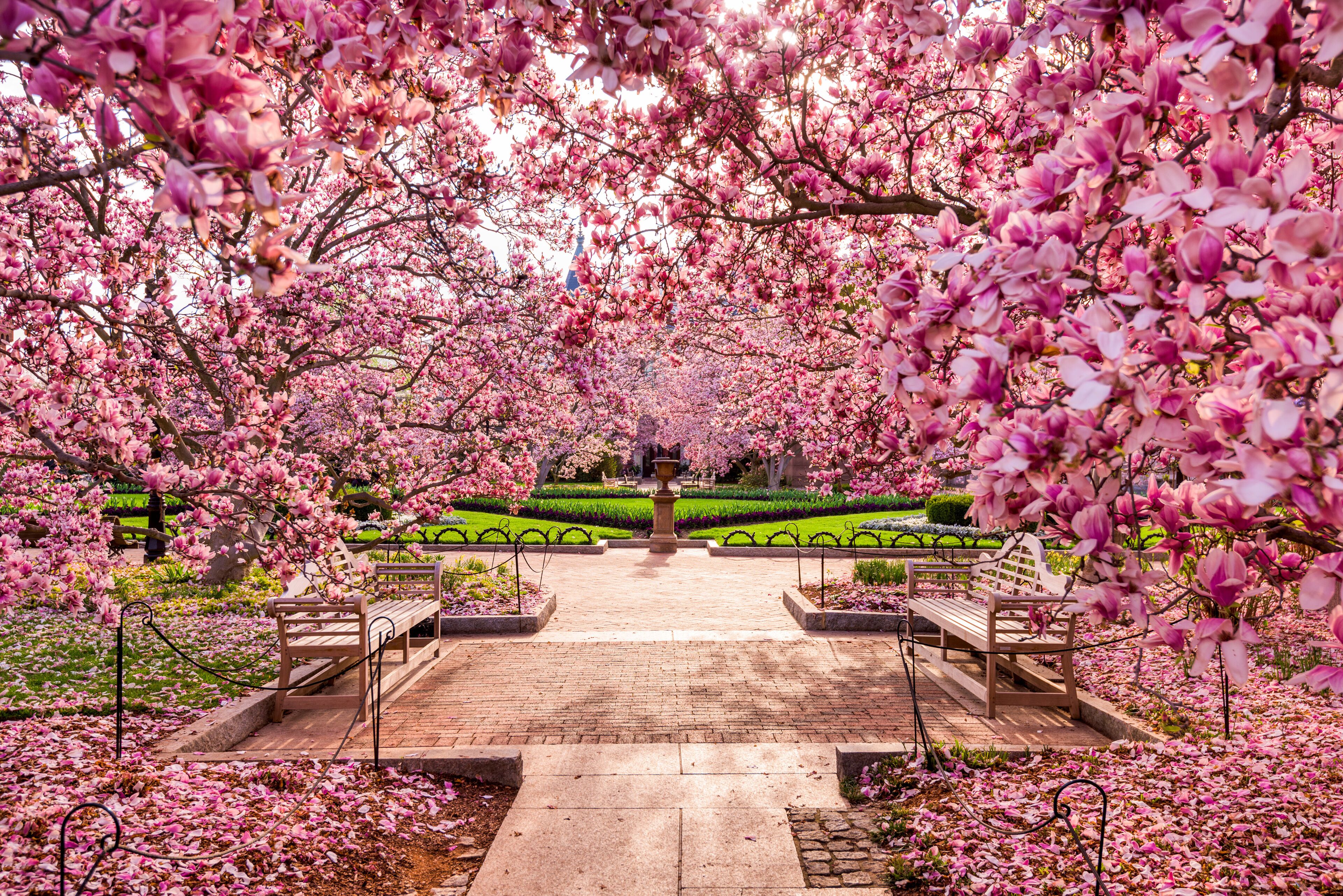 Chantilly