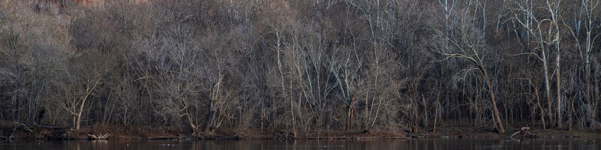 Landscape photo looking across the Potomac River as winter approaches.