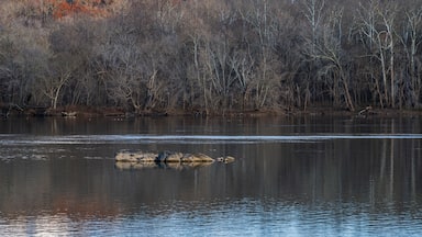 Landscape photo looking across the Potomac River as winter approaches.