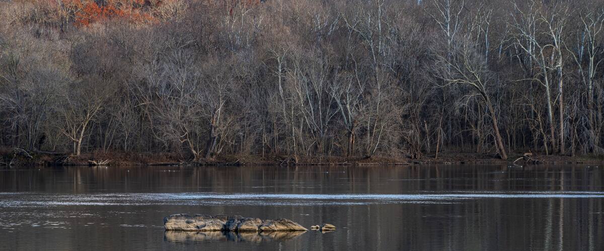 Landscape photo looking across the Potomac River as winter approaches.