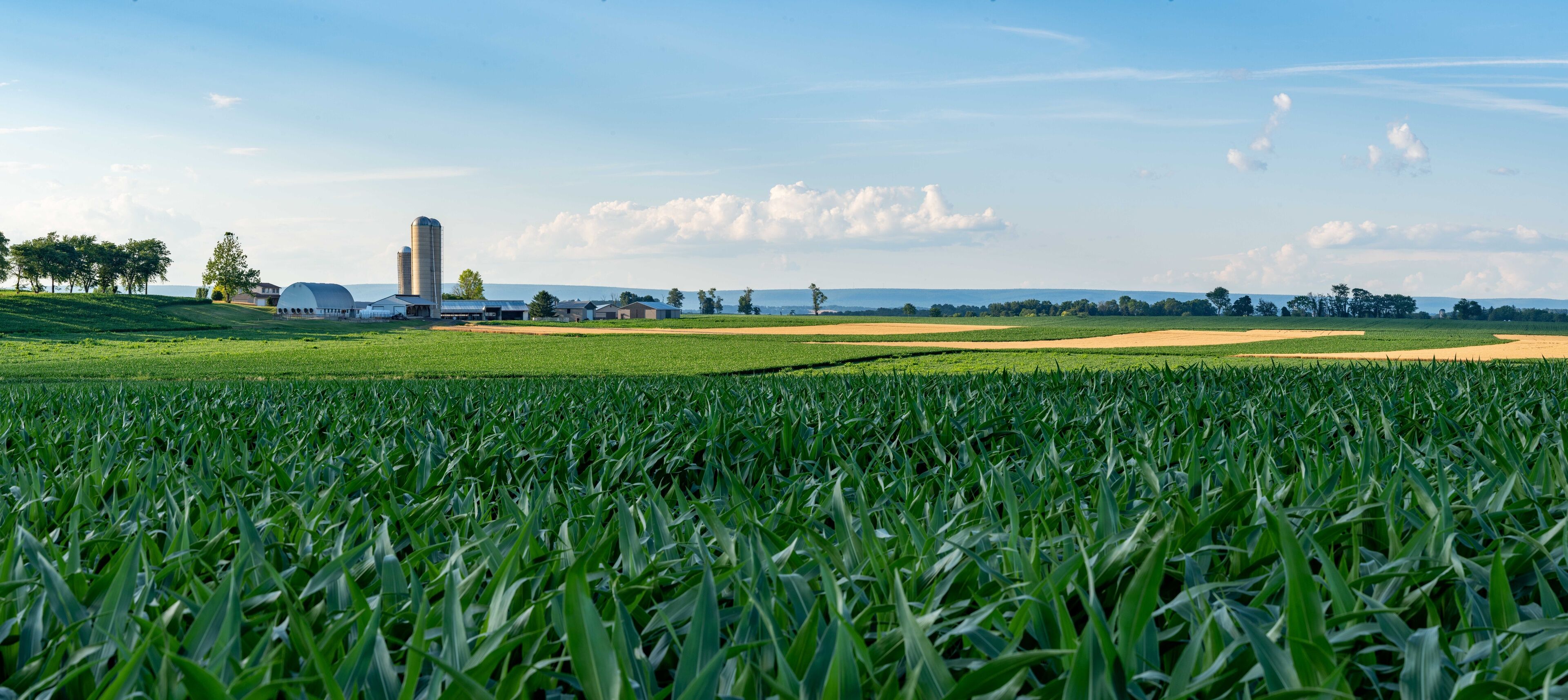 Corn Fields and Farms