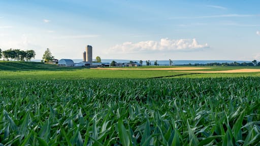 Corn Fields and Farms