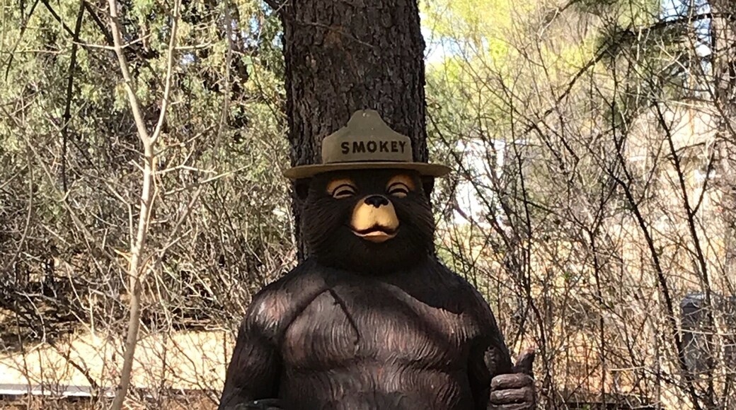 Only you can prevent a forest fire. Definitely worth a stop when in the area. You get to see the full history of Smokey, from the time he was a baby rescued from the fire until his death, including grave site.