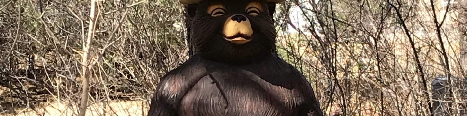 Only you can prevent a forest fire. Definitely worth a stop when in the area. You get to see the full history of Smokey, from the time he was a baby rescued from the fire until his death, including grave site.