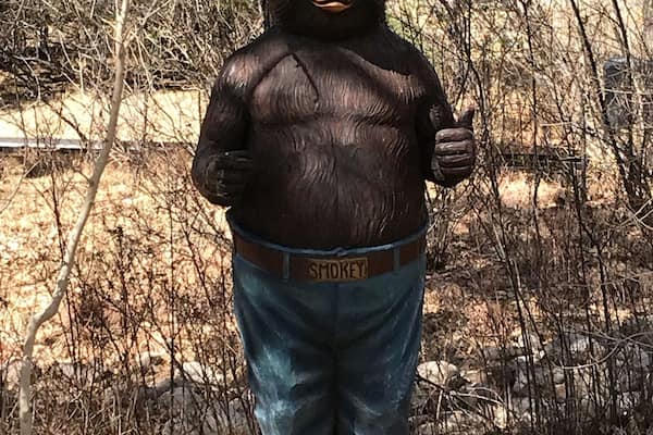 Only you can prevent a forest fire. Definitely worth a stop when in the area. You get to see the full history of Smokey, from the time he was a baby rescued from the fire until his death, including grave site.