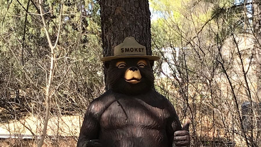 Only you can prevent a forest fire. Definitely worth a stop when in the area. You get to see the full history of Smokey, from the time he was a baby rescued from the fire until his death, including grave site.