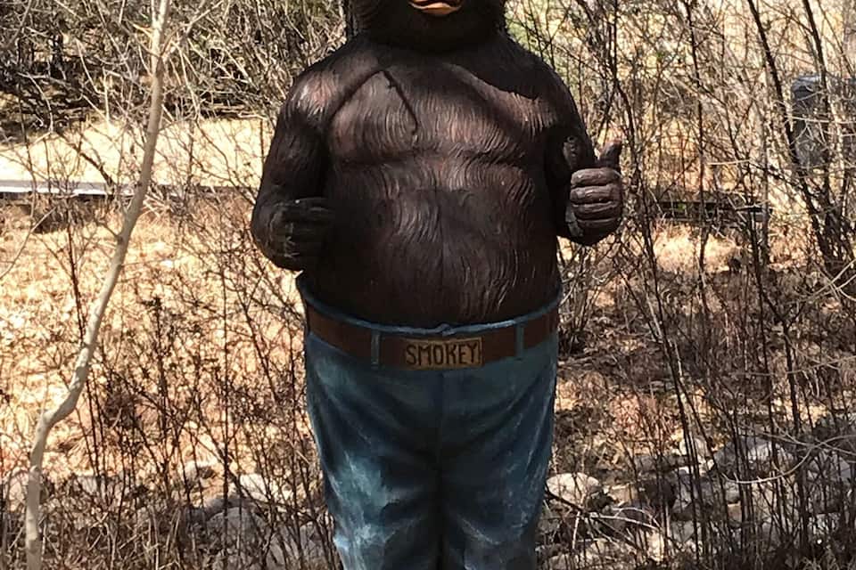 Una statua di un orso che indossa un cappello con la scritta "SMOKEY" e jeans, in una zona boschiva.