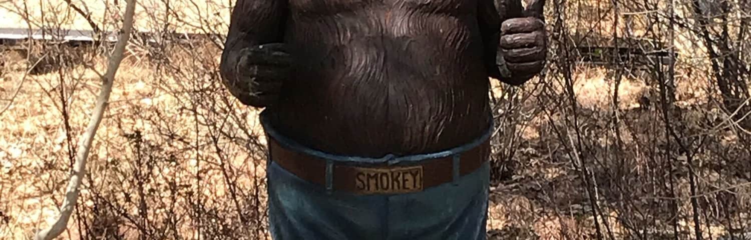 Only you can prevent a forest fire. Definitely worth a stop when in the area. You get to see the full history of Smokey, from the time he was a baby rescued from the fire until his death, including grave site.