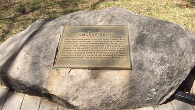 The town of Capitan holds dear the memory of the original Smokey Bear. The cub was rescued after a devastating fire in 1950 in the Lincoln National Forest, leaving him orphaned. Fire rangers made him an American mascot for preventing forest fires. Smokey was buried here after a successful 25-year career as a spokesman.