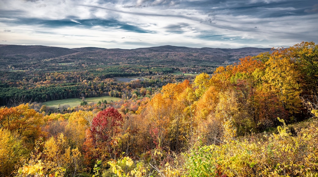 Scenic Autumn Maple Grove and Valley City in Sunlight and Thunderstorm Skies in the rolling hills of Vermont