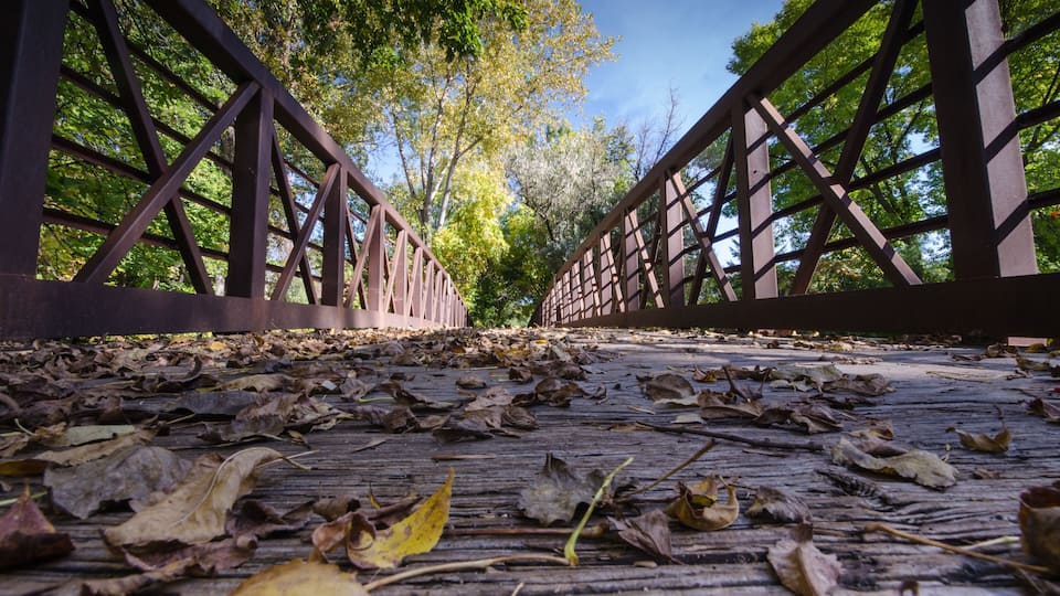 A wooden bridge with a metal railing, surrounded by fallen leaves and trees.