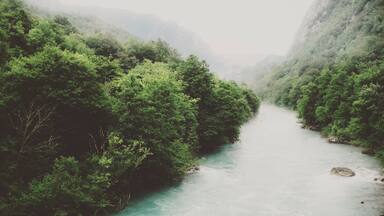 The great Tara river canyon in the Durmitor National park. The second highest canyon in the world.
#troveon #nationalpark #river #tara #outdoors #adventure