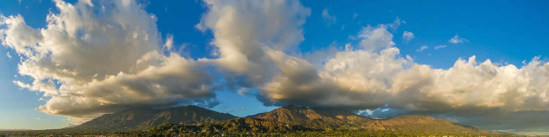 aerial shot of homes, apartments, and shops in the city skyline with cars driving on the street lush green trees at sunset in Monrovia California USA