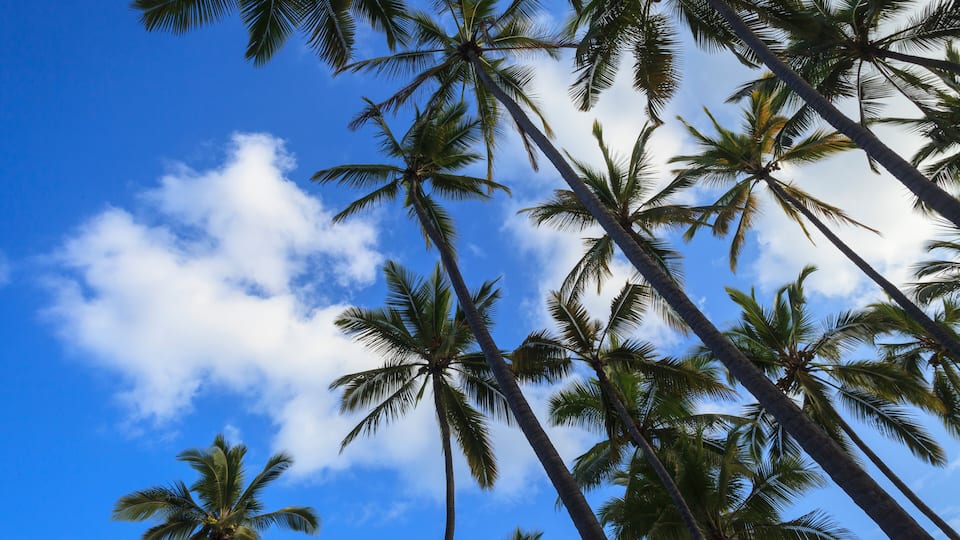 Keomo Beach near Kealakekua Bay, Captain Cook, North Kona area, Big Island, Hawaii, USA