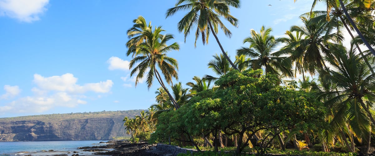 A tropical beach with palm trees, a rocky shoreline, and a clear blue sky.