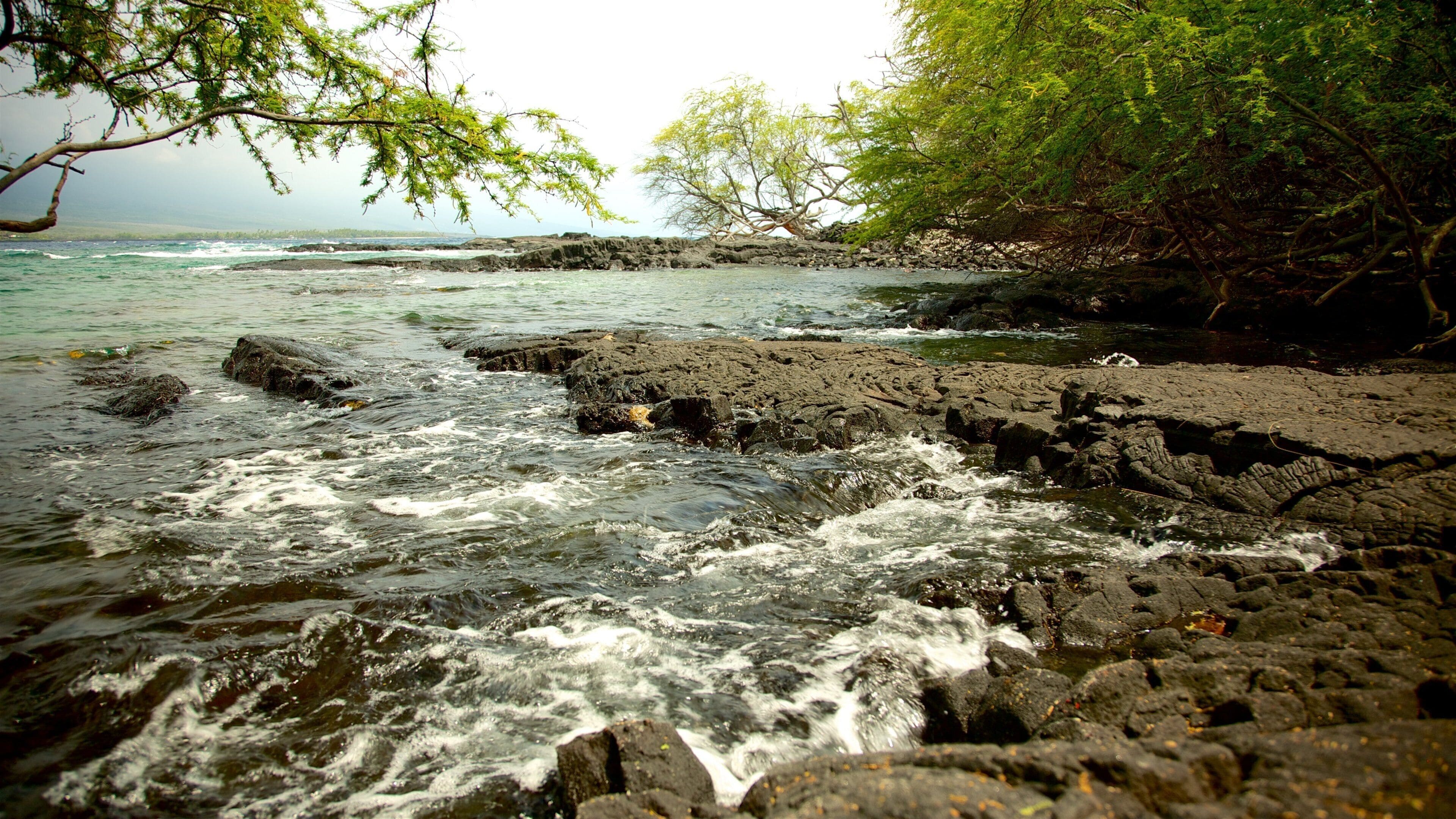 Captain Cook which includes rugged coastline and general coastal views