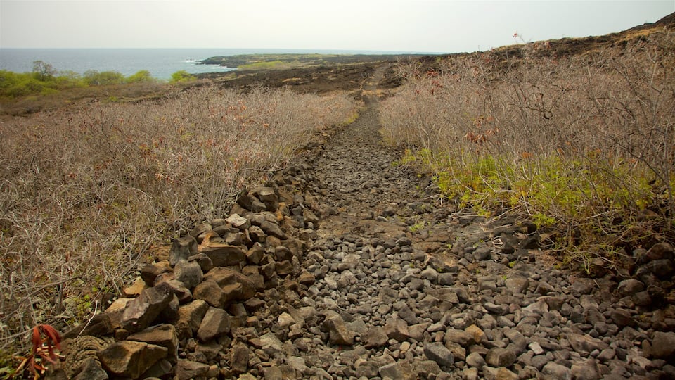 Captain Cook which includes tranquil scenes and general coastal views
