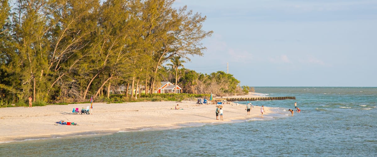 A beach with a wooden pier, a small house, and dense trees.