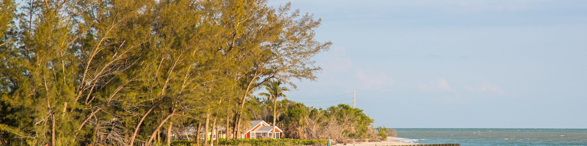 A beach with a wooden pier, a small house, and dense trees.