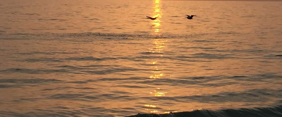 A sunset over a calm sea with two birds flying.
