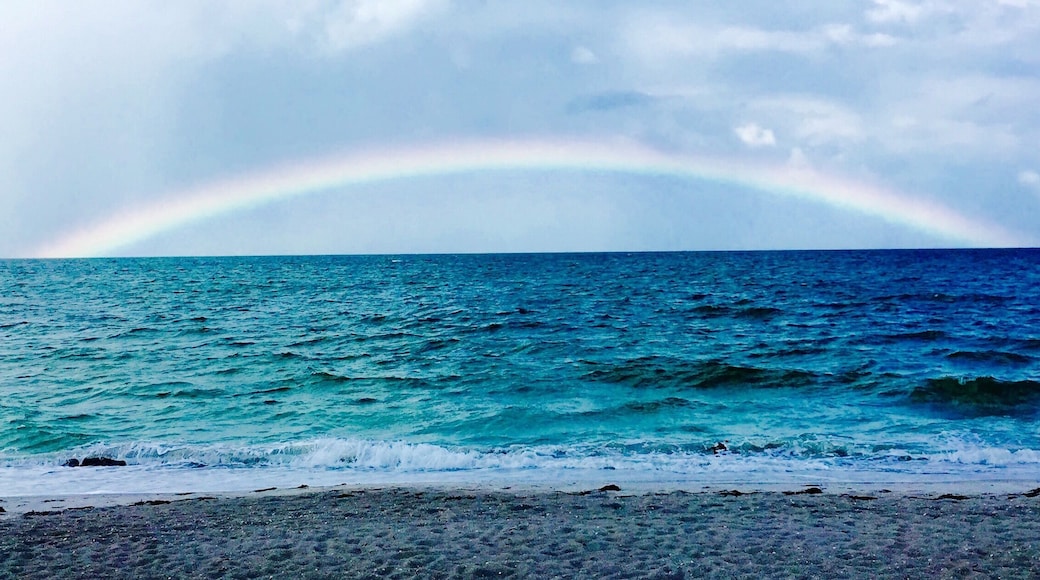 Spotted this on Captiva right in front of the Mucky Duck. Best place to watch the sunset as well.