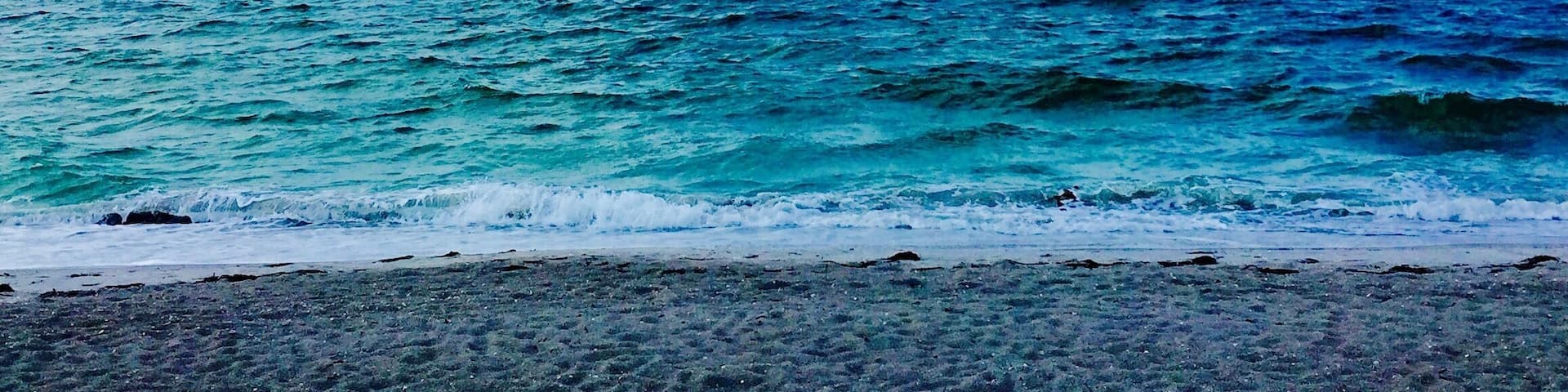 Spotted this on Captiva right in front of the Mucky Duck. Best place to watch the sunset as well.