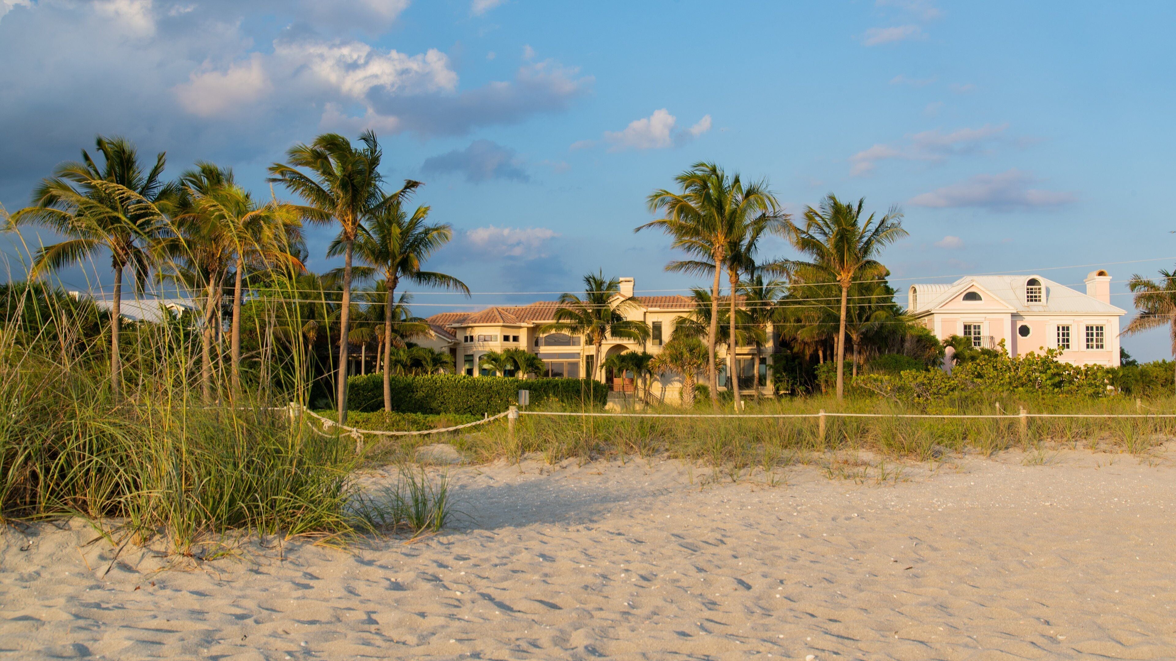 A beach with sand, palm trees, and a large house in the background.
