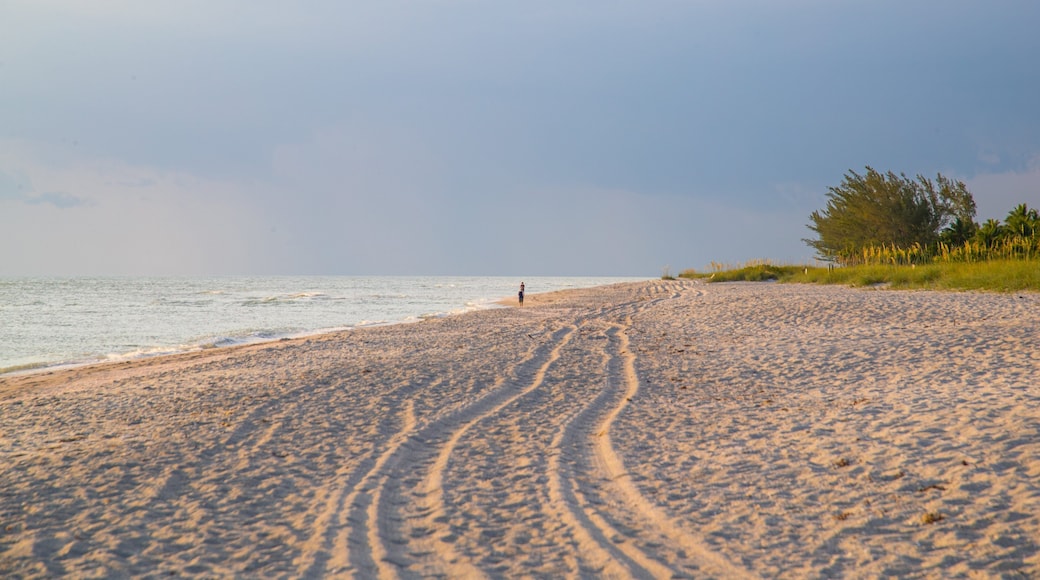 Captiva showing a sunset, general coastal views and a beach