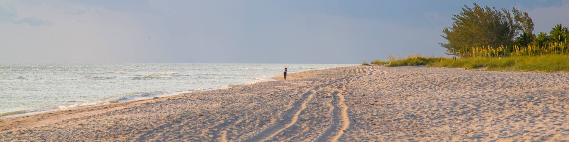 Captiva showing a sunset, general coastal views and a beach