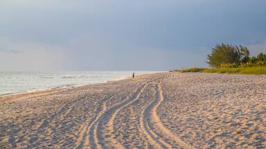 Captiva showing a sunset, general coastal views and a beach