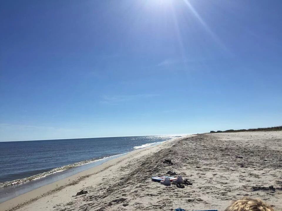 Fabulous piece of the "Forgotten Coast". My kids found baby sharks, intact sand dollars, and intact starfish. Had beautiful weather and the beach to ourselves in October. Nearby little town, lighthouses,  and museum make it a great weekend getaway. #camp