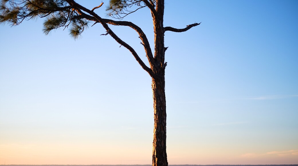 Apalachicola Bay during sunset