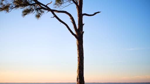 Carrabelle