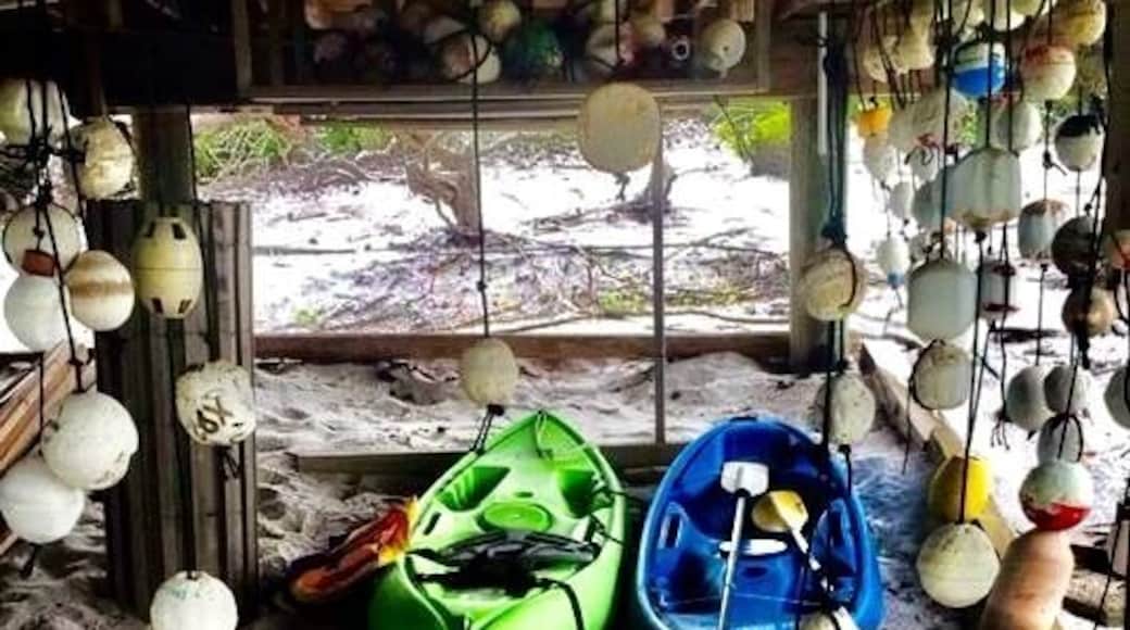 The beautiful dog island of carrabelle, FL!