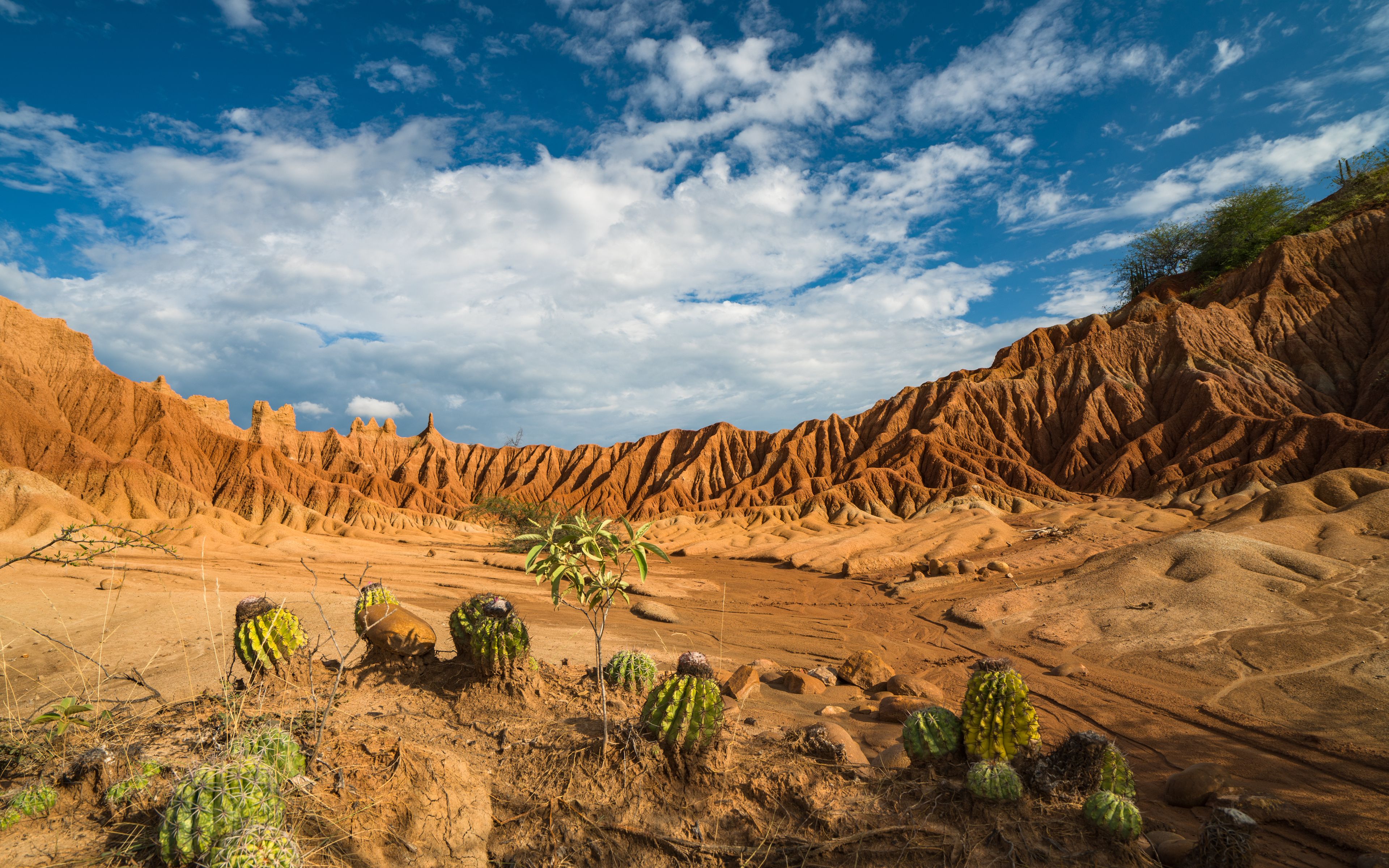 Colorful Tatacoa desert,  Huila, Colombia