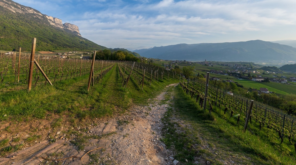 Soscol Gateway North