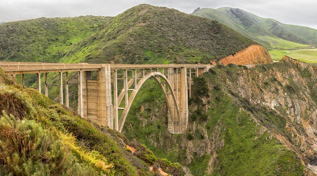 คาซาโนวาโอ๊คนอลล์