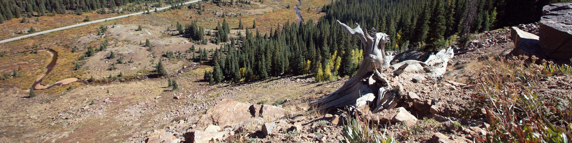 A mountainous landscape with dense forests, a winding road, and a prominent fallen tree.