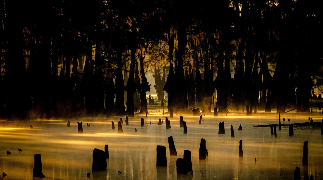 Sunrise at Lake Bistineau