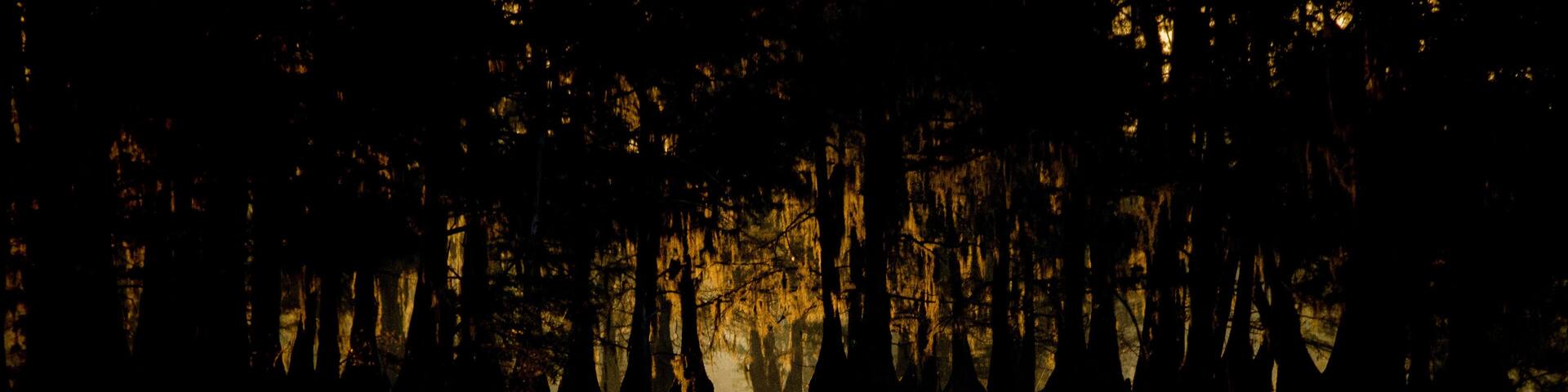 Sunrise at Lake Bistineau