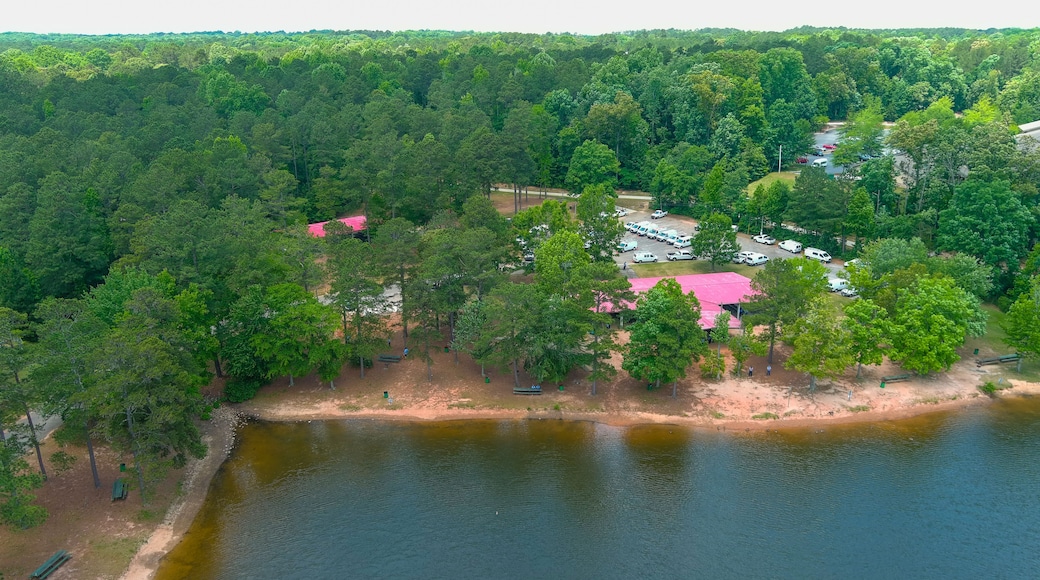 a gorgeous green rippling lake surrounded by lush green trees, grass and plants with blue sky and clouds and buildings among the trees at Lake Spivey Recreation Center in Jonesboro Georgia USA